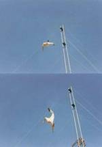 Тим Ситарц фото