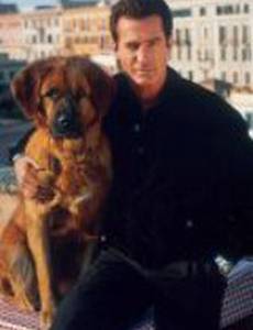 Собачье дело