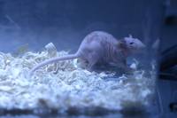 Кадр Спираль