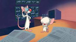 Кадр из фильма "Пинки и Брейн" - 1