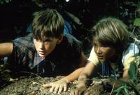 Кадр Клиент