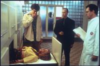 Кадр Американский оборотень в Париже