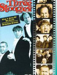 Жених без невесты