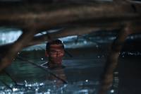 Кадр Никто не выживет