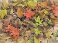 Кадр Дневник поездки в Иокогаму за покупками (видео)