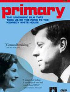 Предварительные выборы