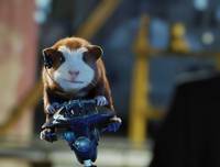 Кадр Миссия Дарвина