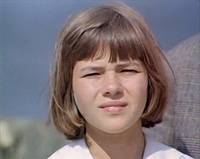 Кадр Красные пчелы