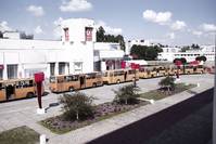 Кадр Мотыльки