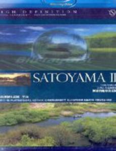 Сатояма: Таинственный водный сад Японии