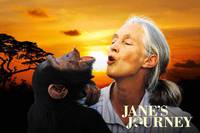 Постер Путешествие Джейн