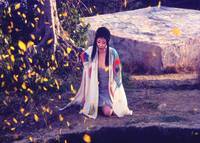 Кадр Прощай, ковчег