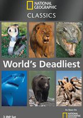 National Geographic: Самые опасные животные