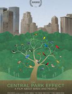 Эффект центрального парка