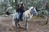 Кадр Наука сна