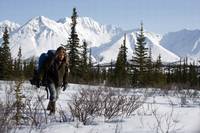 Кадр В диких условиях