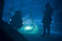 Кадр Первый мститель