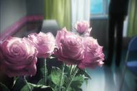 Кадр Граница пустоты: Сад грешников (фильм четвертый)