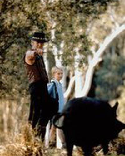 Серж Кокберн фото