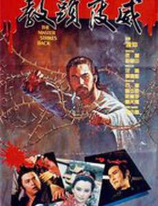 Мастер наносит ответный удар