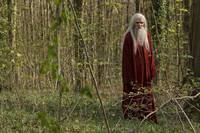 Кадр Мерлин