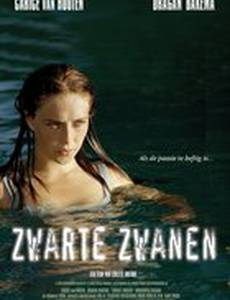 Черные лебеди