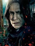 Постер из фильма "Гарри Поттер и Дары смерти: Часть 2" - 1