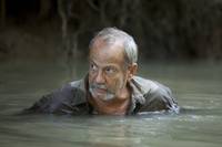 Кадр 600 кг золота