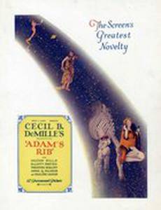 Ребро Адама