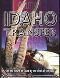 Пересадка в Айдахо