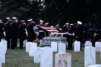 Кадр Морские котики