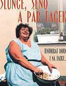 Солнце, сено и пара оплеух