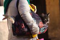 Кадр Тетушки