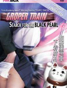 Chikan densha: Shitagi kensatsu