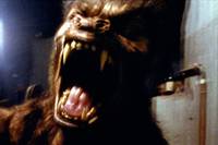 Кадр Американский оборотень в Париже