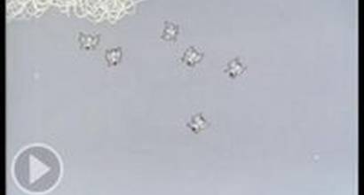 Мультфильм