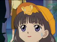 Кадр Сакура – собирательница карт