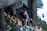 Кадр Стрелок