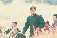 Кадр Brothers' Destiny