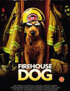 Пожарный пес