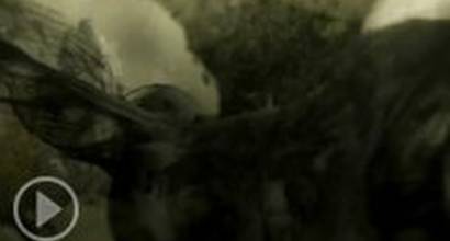 Мультфильм