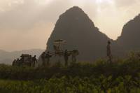 Кадр Разрисованная вуаль