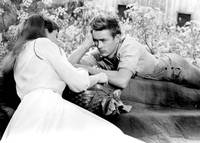 Кадр К востоку от рая