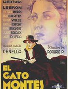 El gato montés