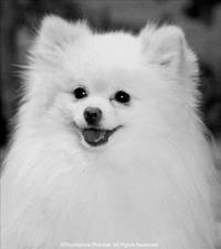 Кадр Двойные неприятности