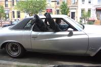 Кадр Гангста Love