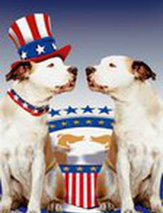 Пес и нищий