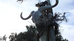 Кадр из фильма "Проект Динозавр" - 2