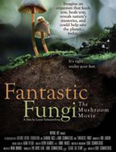 Фантастические грибы