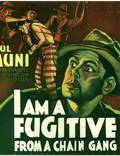 Постер из фильма "Я – беглый каторжник" - 1